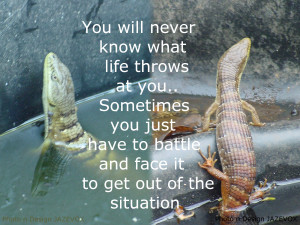 ... fight whatever struggles problems challenges trials life throws at you