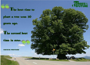 Plant trees. Save lives. www.treesforthefuture.org