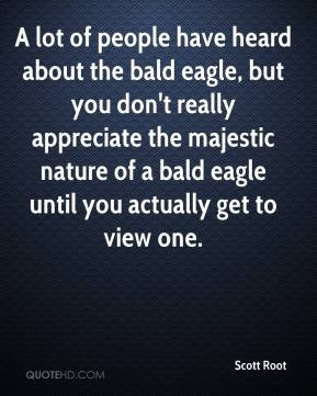 ... eagle, but you don't really appreciate the majestic nature of a bald