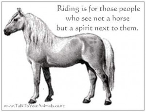 Spirit Horse Quotes