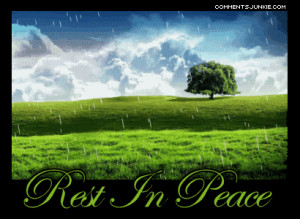 rest-in-peace-rain.gif#may%20your%20daughter%20rest%20in%20peace%20in ...