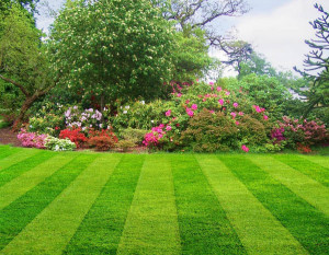 Rockland NY Landscaping Contractors Providing Quality Services