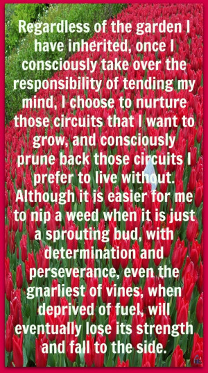 Dr. Jill Bolte Taylor (from MY STROKE OF INSIGHT)