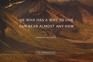 He who has a why to live can bear almost any how” ~ Fredrick ...