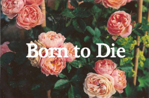 born to die, lana del rey, life quotes, lyrics, song