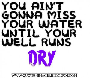 You ain't gonna miss your water until your well runs dry.