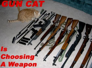 Funny Cats With Guns