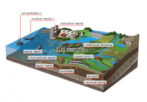 com/articles/effects-of-water-pollution.html http://library.thinkquest ...