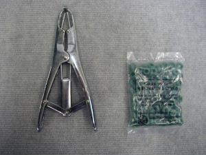 Castration And Docking...