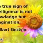 Signs Of Intelligence Quotes and Sayings Trust is Important Quotes ...