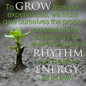 Via Chickmelionbydesign Dummerauf