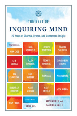 Title : “The Best of Inquiring Mind: 25 Years of Dharma, Drama, and ...