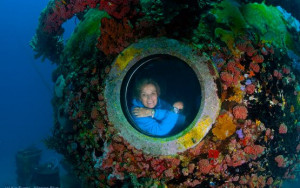 Sylvia Earle under water