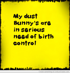 my_dust_bunnies-442427.jpg?i
