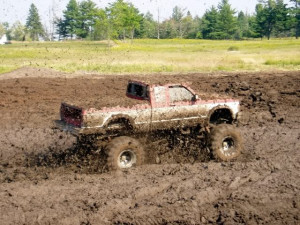 All Graphics » mudding