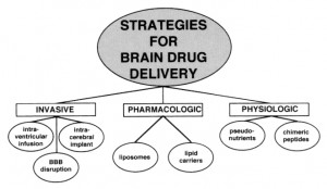 Drug delivery to the brain