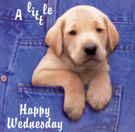 Little Happy Wednesday