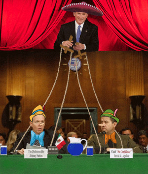THE POLITICAL PUPPET SHOW