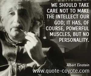 Intellect quotes - We should take care not to make the intellect our ...