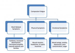 Effects of Compassion Fatigue: This diagram outlines the physical and ...