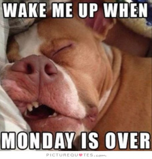 Wake me up when Monday is over Picture Quote #1