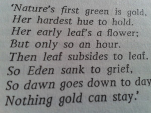the outsiders #stay gold #nothing gold can stay #s.e hinton #s.e ...