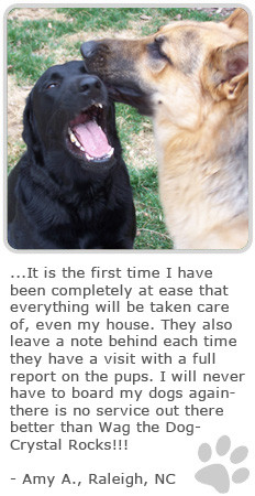 Pet Memorial Sayings Quotes http://www.wagthedognc.com/contact.html