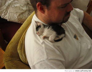 lefunny.net, quotes, animals, pictures