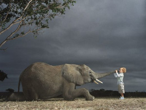 Most Amazing Animals Photos