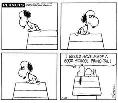 school principal More