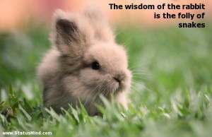 ... of the rabbit is the folly of snakes - Witty Quotes - StatusMind.com