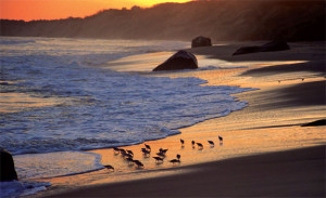 Beaches on Martha’s Vineyard