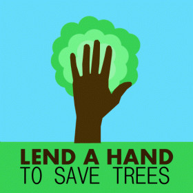 ... save rainforest slogans save trees quotes save trees sayings save