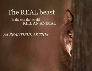 stop killing our wolves quote via angela laughlin monty quotes