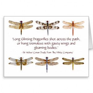 dragonfly watercolors & quote greeting cards
