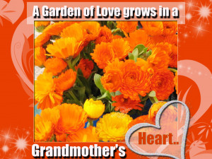 garden of love grows in a grandmother's heart