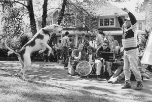 ... reserved titles homeward bound ii lost in san francisco homeward bound