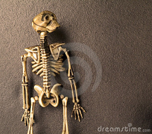 Halloween Skeleton Bones...