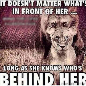 Gotta a Lion King? Lol