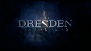 The dresden Files is a tv series that was based on some novels:|