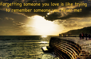 ... Love is Like Trying to Remember Someone you Never met - Break up Quote