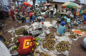 fruit and vegetables in Goma. With many people in developing countries ...