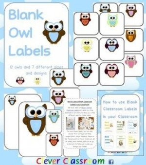 Owl Themed Blank Classroom Labels - PDF file - 48 pages, plus a 15 ...