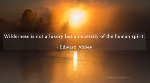 quote of the week edward abbey quote of the day yellowstone grand ...