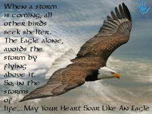 When a storm is coming all other birds seek shelter. The eagle alone ...