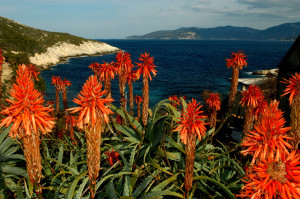 Like Croatia Your Ultimate