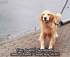 top tumblr posts top FB posts top tweets latest articles about