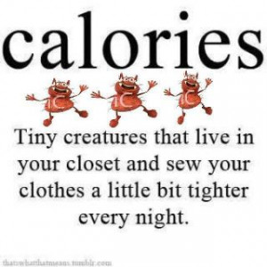 Calories funny quote photo caloriesfunnyquote.jpg