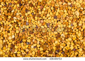 background: bee gathered pollen granules - stock photo
