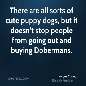 Angus Young Pet Quotes
